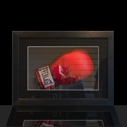Framed boxing glove example