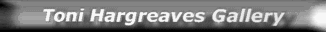 Button link to Toni Hargreaves gallery