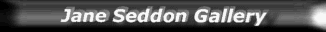 Button link to Jane Seddon gallery