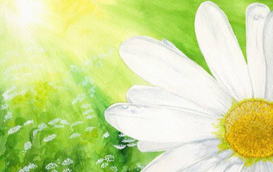 Links to the Jane Seddon Gallery page