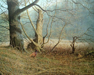 Dawn at Brock Bottoms by Geoff Rollinson