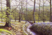 Spring at Brock Bottom by Geoff Rollinson
