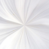 Heavenly White. Photographic art by Jane Seddon.