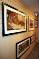 picture of our gallery