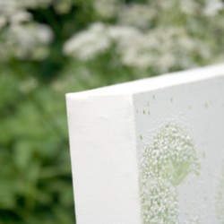 Box canvas stretched by us