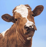 How Now Brown Cow painting by Toni Hargreaves