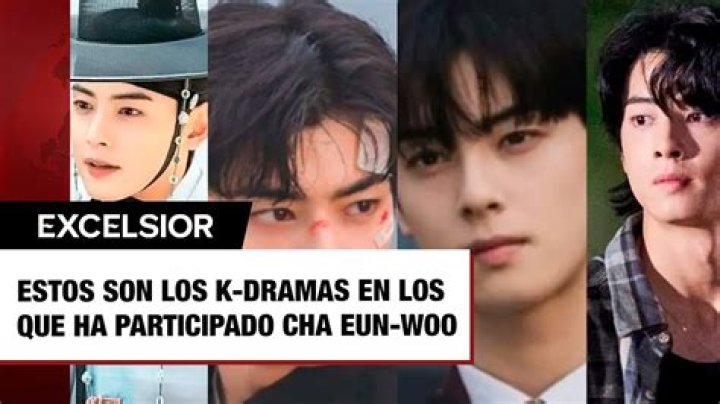 Chan Eun Woo: The Rising Star of K-Pop and Acting