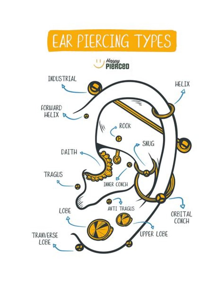 Ear Piercings All Types: A Comprehensive Guide to Styles, Care, and Trends