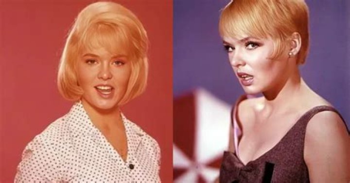 Joey Heatherton Net Worth: A Comprehensive Look at Her Career and Achievements