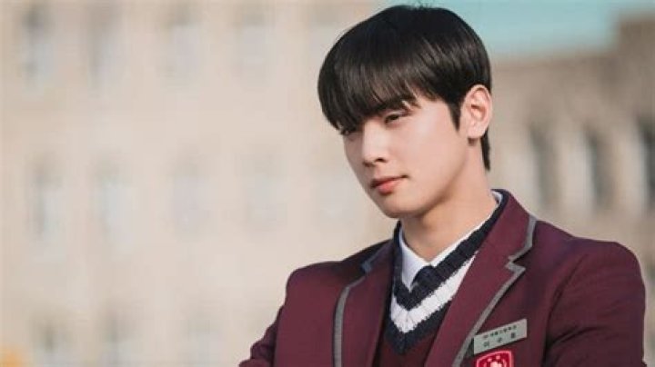 Top TV Shows Featuring Cha Eun-woo: A Complete Guide to His Acting Career