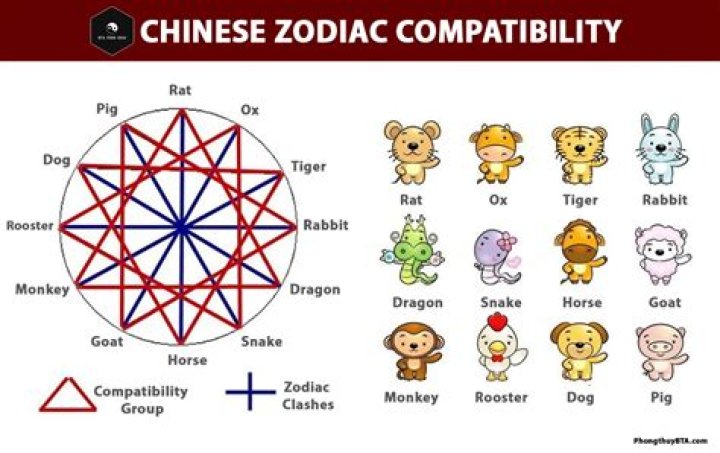 Understanding the Chinese Zodiac Water Goat: Traits, Compatibility, and More